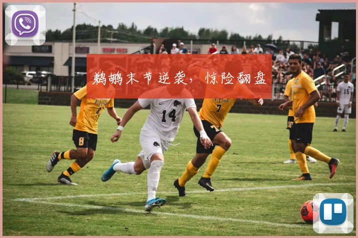 鹈鹕末节逆袭,惊险翻盘