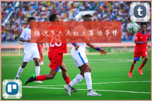 梅德韦杰夫红土赛场争锋