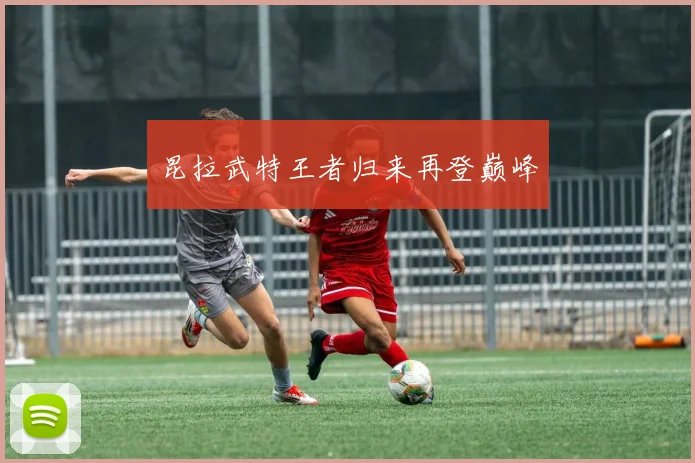 昆拉武特王者归来再登巅峰