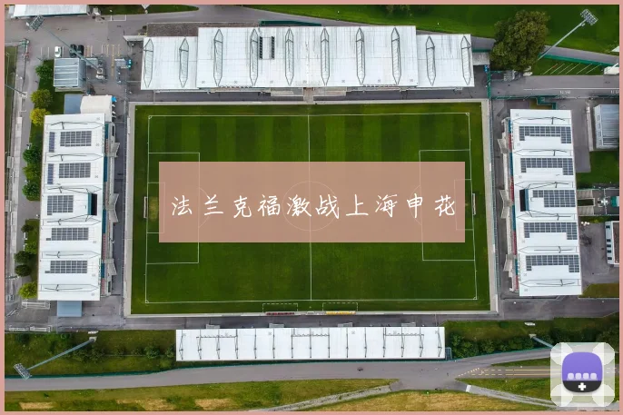 法兰克福激战上海申花