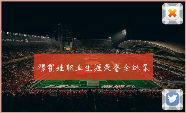 穆霍娃职业生涯荣誉全纪录