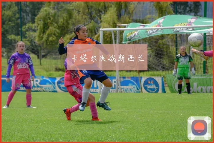 卡塔尔决战新西兰