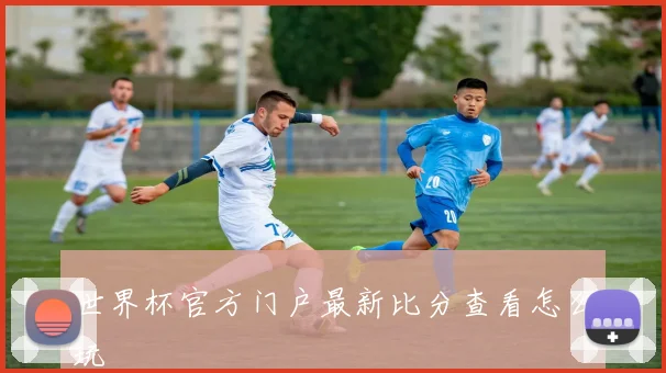 世界杯官方门户最新比分查看怎么玩