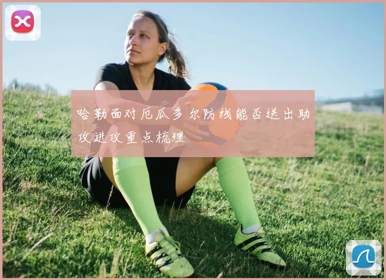 哈勒面对厄瓜多尔防线能否送出助攻进攻重点梳理