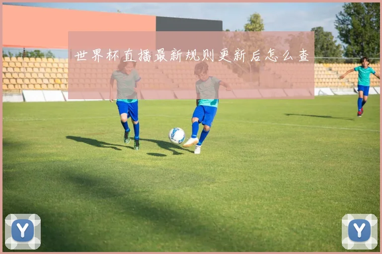 世界杯直播最新规则更新后怎么查